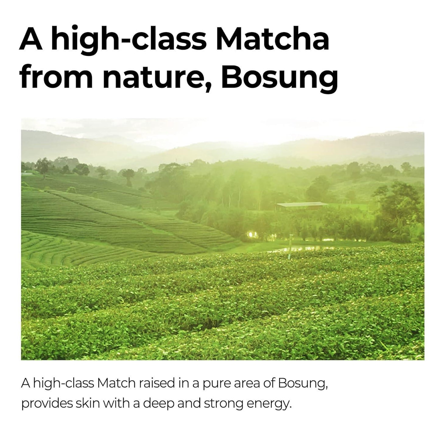 🍵 Super Matcha Pore Tightening Serum (50ml) – Pore Refining & Hydrating Serum