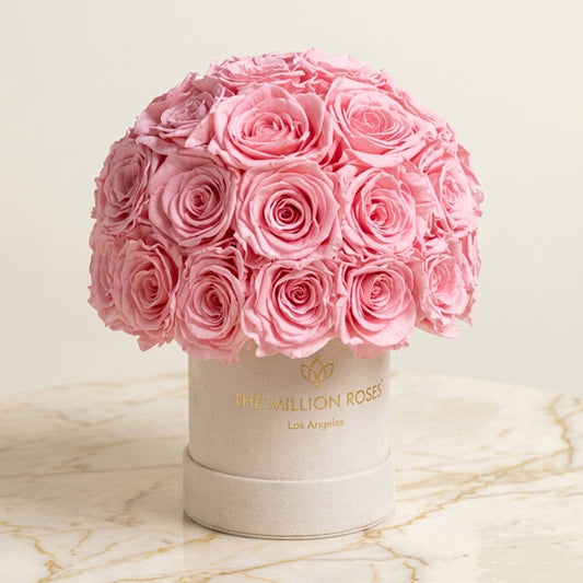 Essence Beige Suede Superdome Box | Light Pink Roses