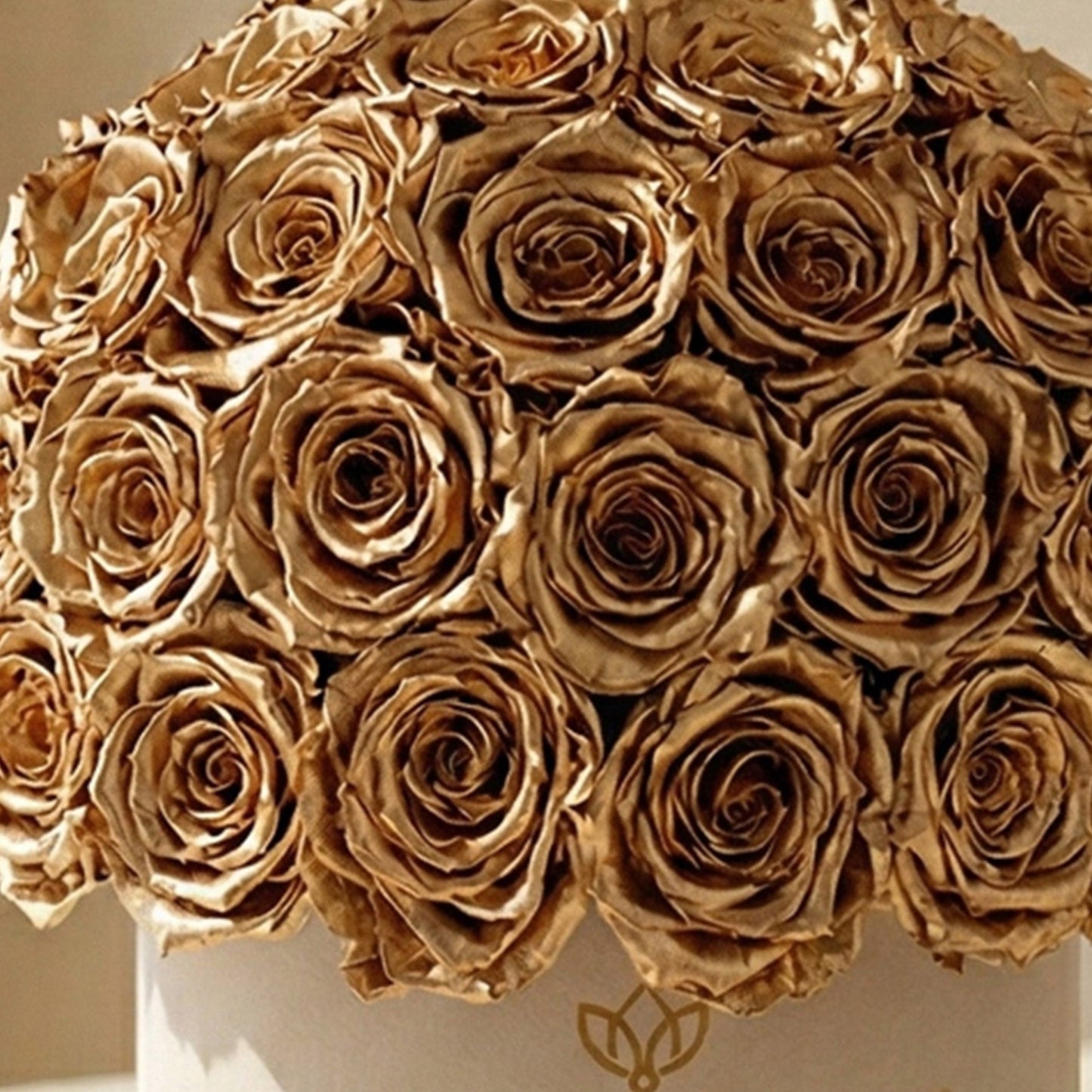 Classic Beige Suede Superdome Box | Gold Roses