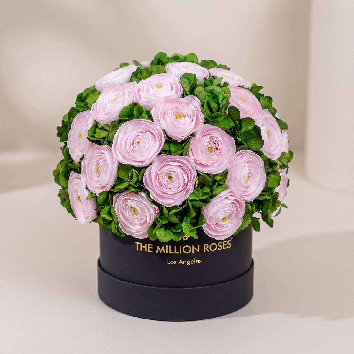 Classic Black Box | Light Pink Persian Buttercups & Green Hydrangeas