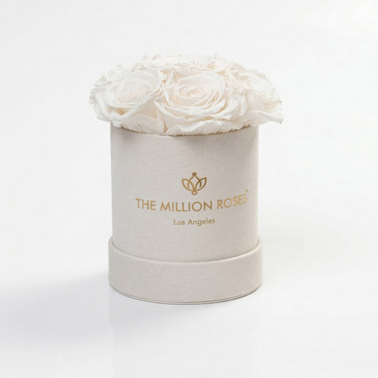 Essence Beige Suede Box | White Roses