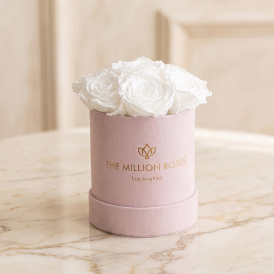Essence Light Pink Suede Box | White Roses