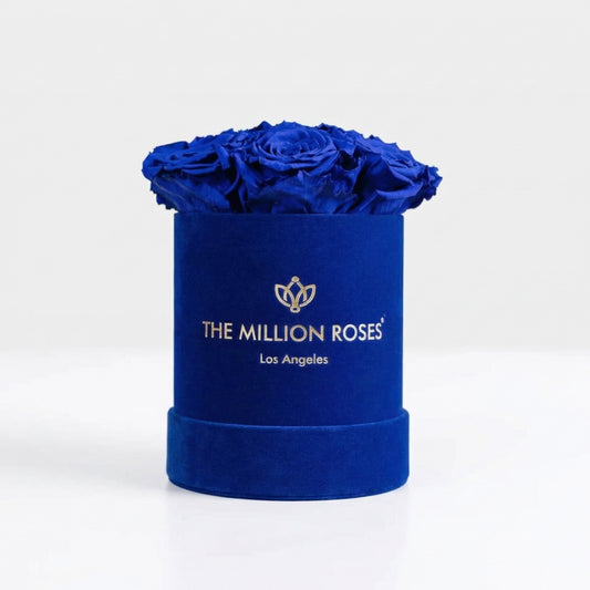 Essence Royal Blue Suede Box | Royal Blue Roses