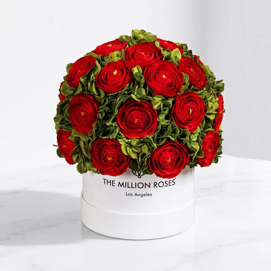 Classic White Box | Red Persian Buttercups & Green Hydrangeas