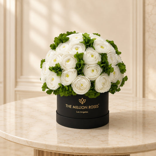 Classic Black Box | White Persian Buttercups & Green Hydrangeas