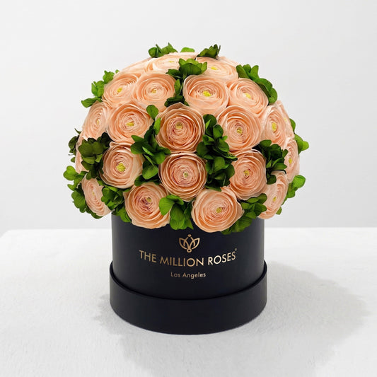 Classic Black Box | Peach Persian Buttercups & Green Hydrangeas