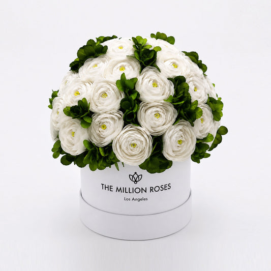 Classic White Box | White Persian Buttercups & Green Hydrangeas