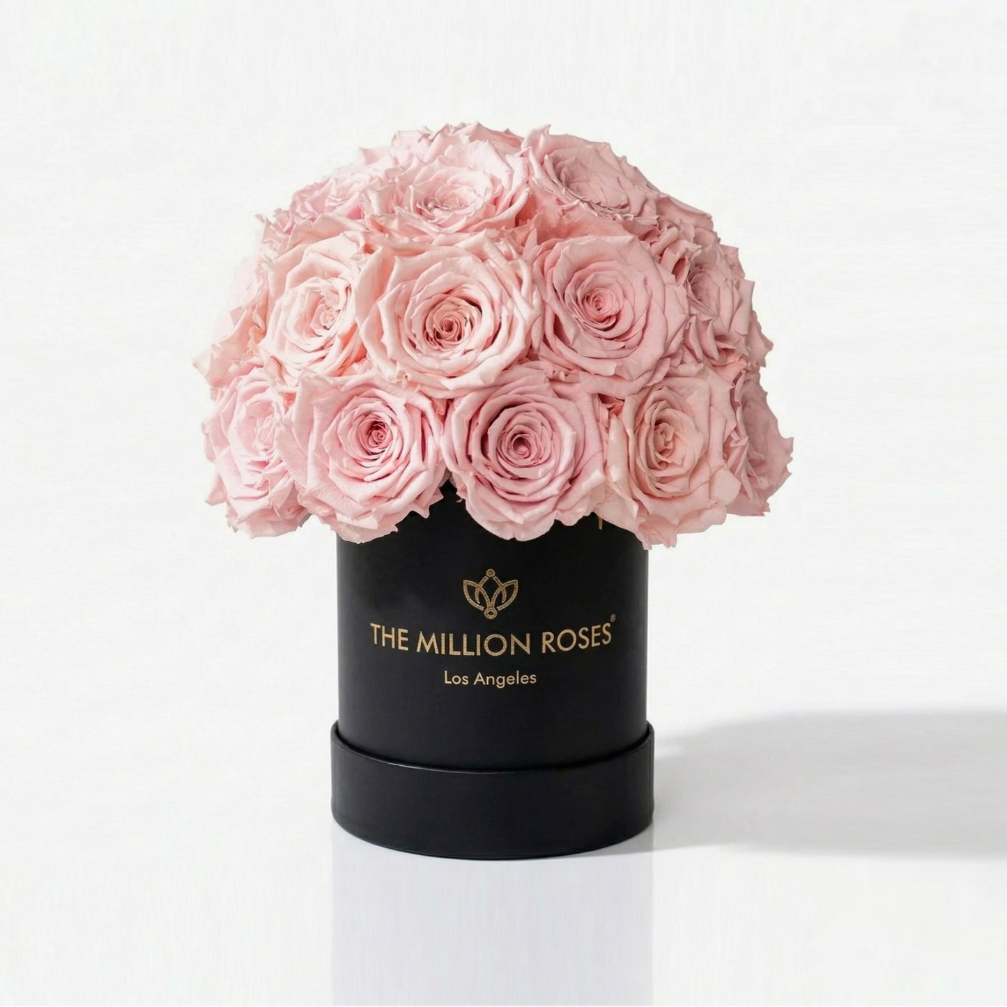 Essence Black Superdome Box | Light Pink Roses