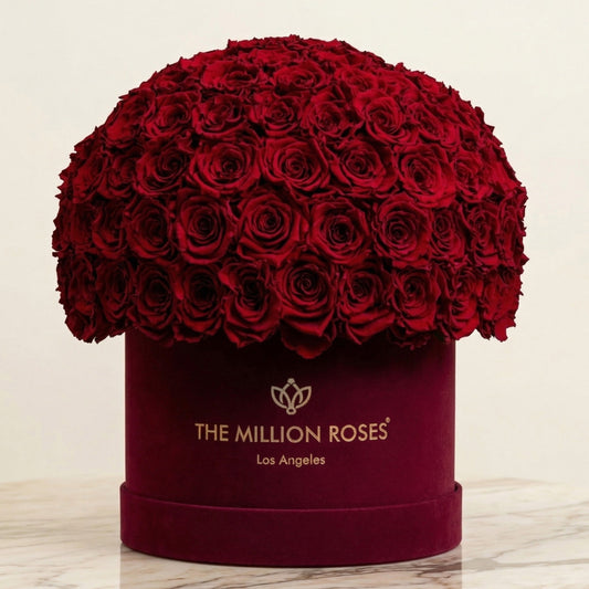 Supreme Bordeaux Suede Superdome Box | Burgundy Roses